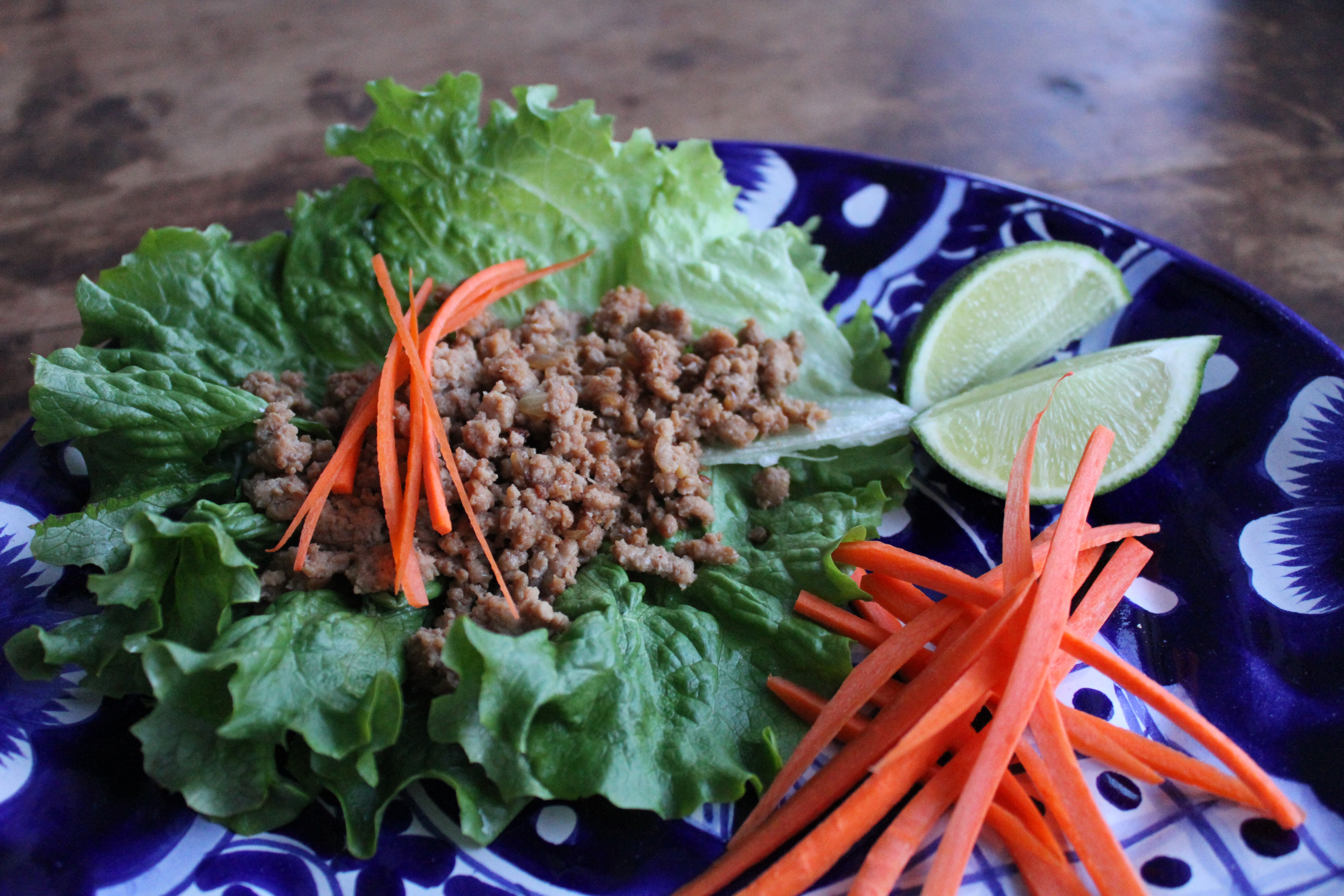 Asian Turkey Lettuce Wraps - Brittany's Pantry : Brittany's Pantry